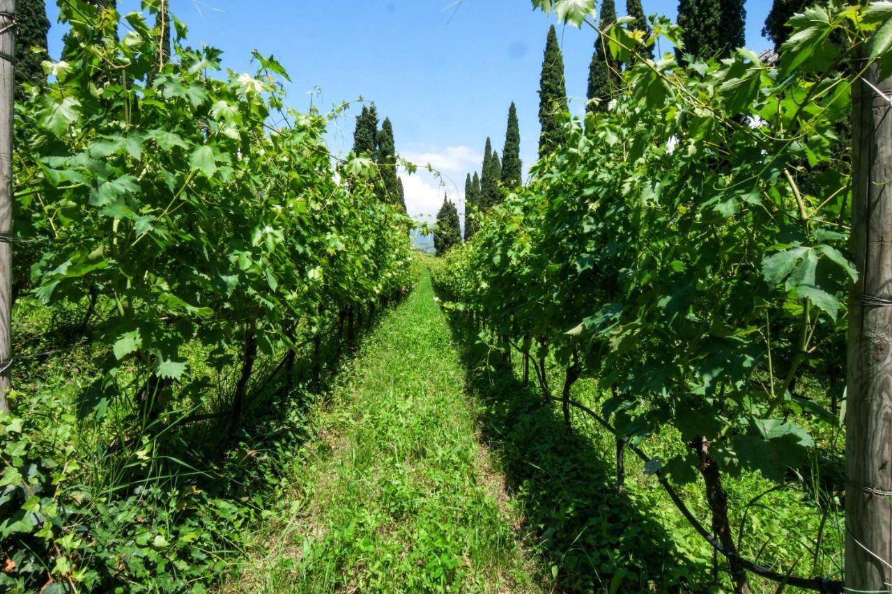 Villa Betteloni Valpolicella Suites سان بيترو في كاريانو المظهر الخارجي الصورة